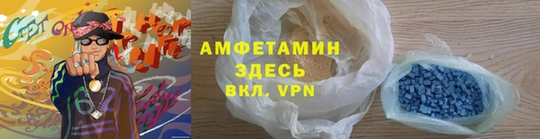 твердый Вяземский