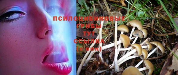 не бодяженный Алзамай